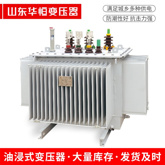 S13-10000/35环县环县环县电力变压器